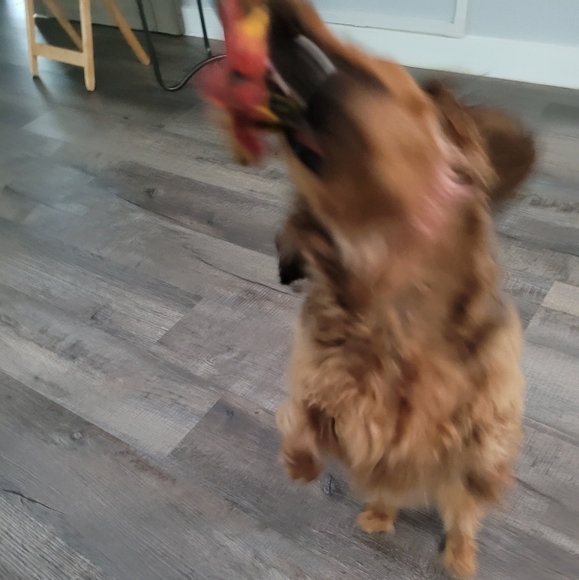 Firefighter dog toy - Picture 9 of 9